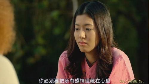 想爱就爱2免费观看,免费畅享浪漫之旅