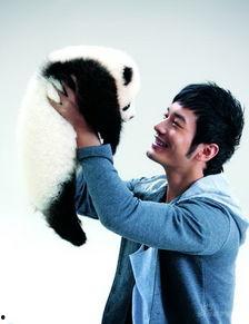 脸弯明星,闪耀舞台的璀璨之星